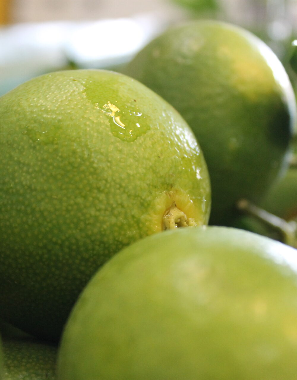 Mandarino Miagawa / NON DISPONIBILE