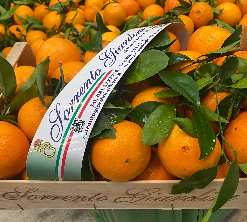 Arance Navel con foglia BOX 9 Kg/NON DISPONIBILE