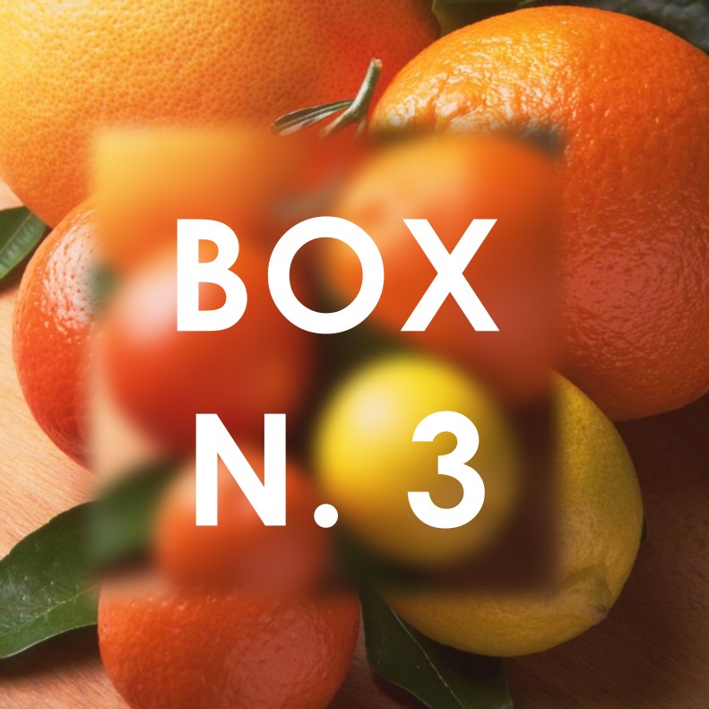 BOX n.3 Agrumi misti