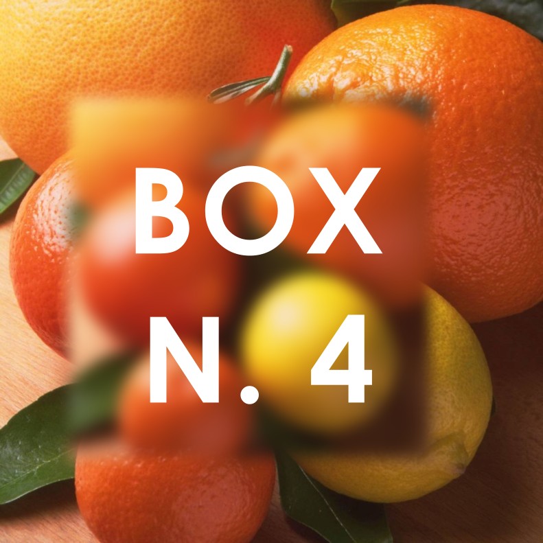 BOX n.4 Agrumi misti